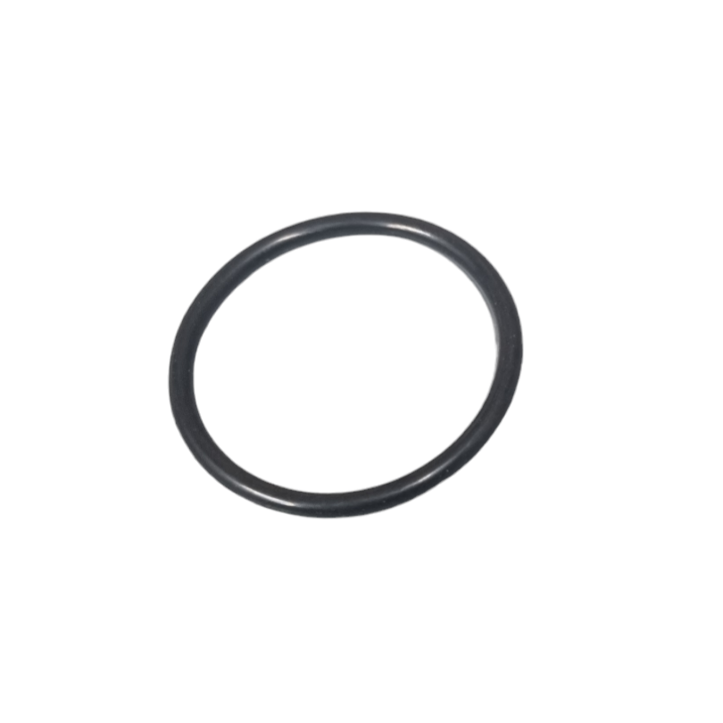 Inlet Rubber O-ring (k157 euro 3)