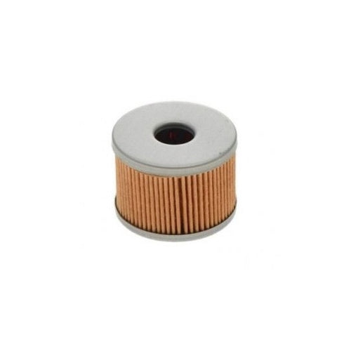 Oil Filter (Benelli BN125 & TNT125)