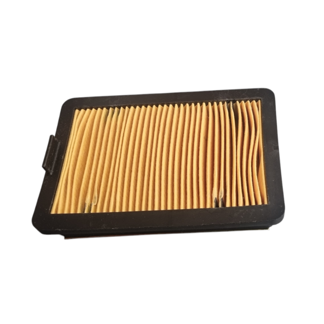 Air Filter (Stravaig 401)