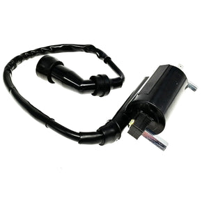 Standard Ignition Coil (chinese 125 motorcycles)