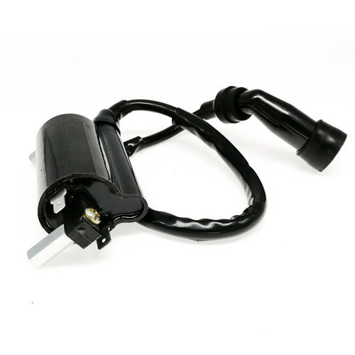 Standard Ignition Coil (chinese 125 motorcycles)