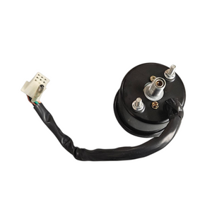 Speedometer (Euro 4 125)